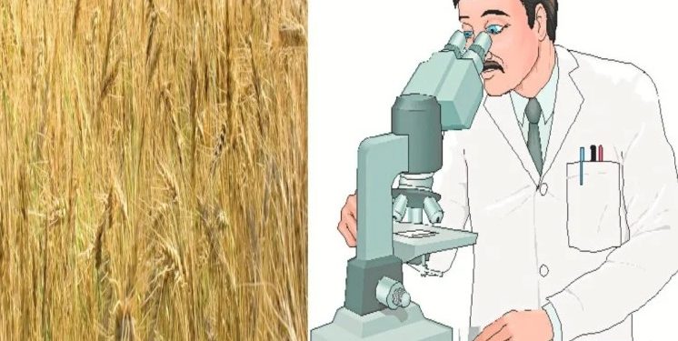 हिमाचल के 10 जिलों में बनेंगी कृषि बीजों की डीएनए टेस्ट लैब, किसानों को होंगा फायदा